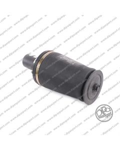 REB101740 Molla Anteriore Range Rover II (P38A)