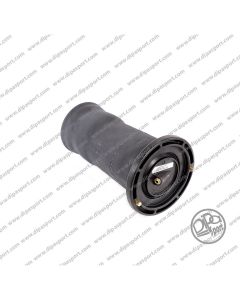 RKB101200 Molla Posteriore Land Rover Discovery II