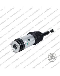 102746100G Sospensione Arnott Tesla Model X (5YJX)