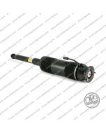 2203205613 Sospensione Dipa Post Dx MB Classe S
