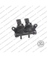 238135000 Rail 2 Iniettori Gas Girs12 Tipo M Nero