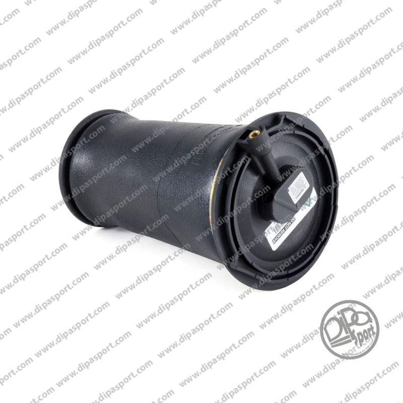 RKB101460 Molla Aria Posteriore Dunlop Range Rover