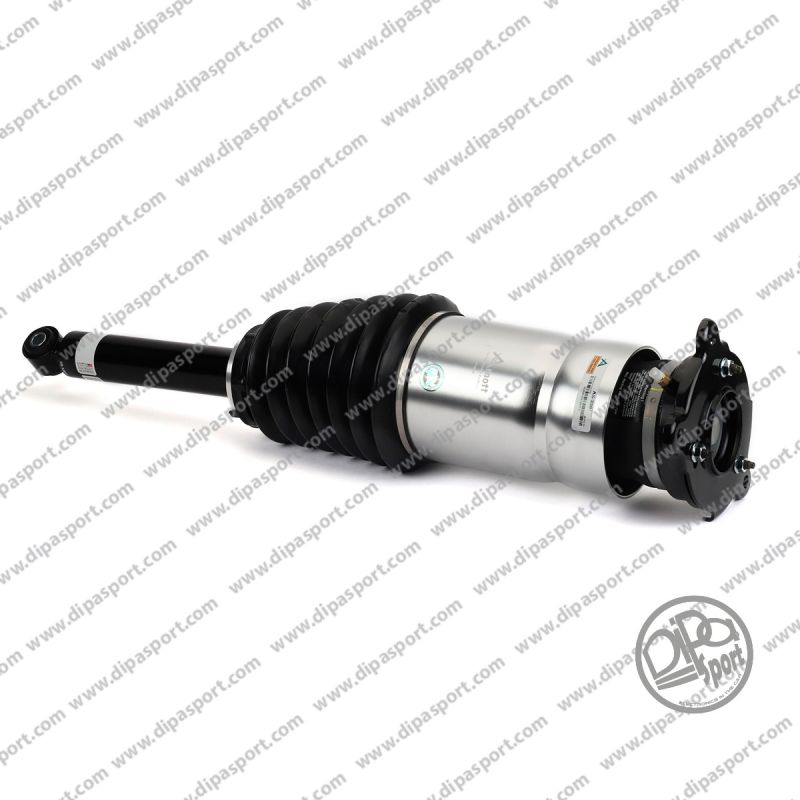 106746125C Sospensione Posteriore New Tesla Model S
