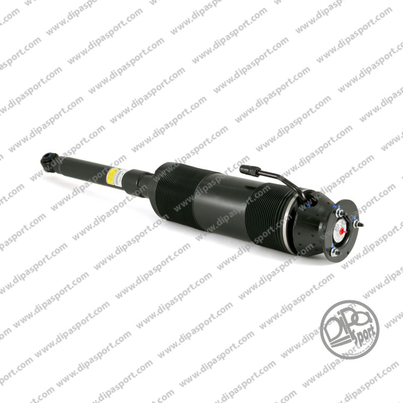 2203205613 Sospensione Dipa Post Dx MB Classe S