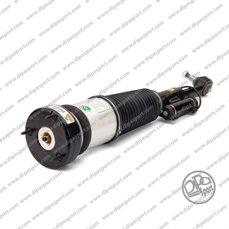 2213200538 Ammortizzatore Ant. Dx Mercedes Classe S