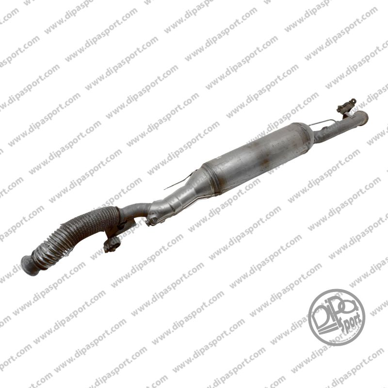 1609929980 Pulizia Fap 308 C4 Picasso 2.0 BlueHdi