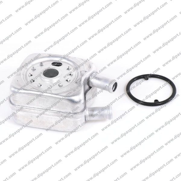 028117021B Radiatore Olio Motore Seat Skoda Vw Audi