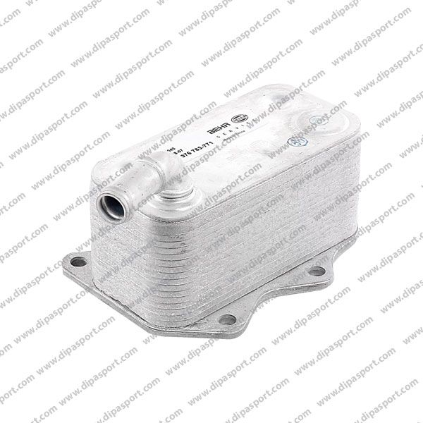 06D117021C Radiatore Olio Motore Vag 2.0 FSI TFSi