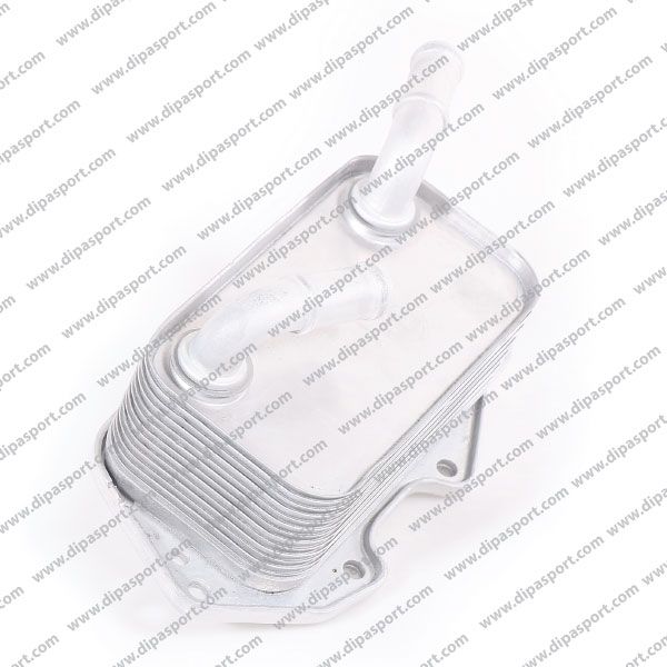 06E117021G Radiatore Olio Nuovo Dipa Vag 3.0 3.2