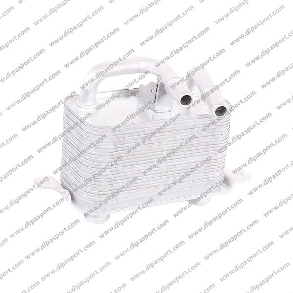 17217519213 Radiatore Olio Cambio Dipa Bmw 