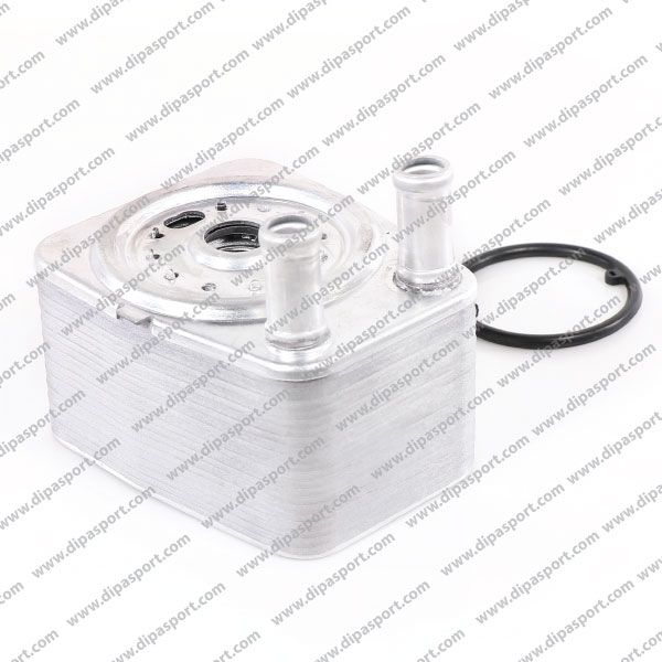 038117021C Radiatore Olio Nuovo Dipa Vag 2.0 3.2