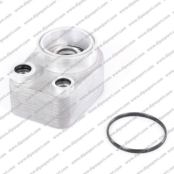 213059324R Radiatore Olio Motore Renault Dacia dCi