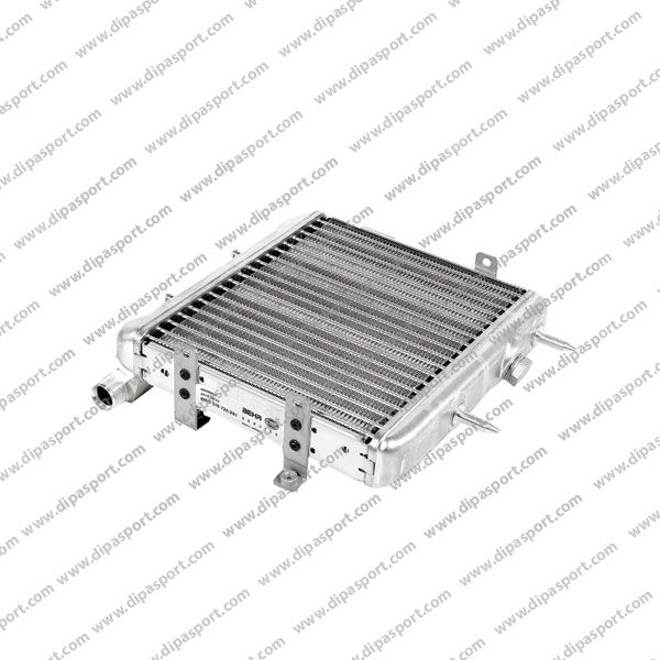 2105001000 Radiatore Olio Motore Behr Classe E 