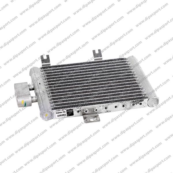 2155000000 Radiatore Olio Motore Mercedes Classe S