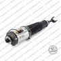 Sospensione Ant Dx Continental Phaeton
