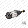 Sospensione Post. Range Rover Sport L320
