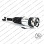 Sospensioni Posteriore Destra Bentley Vw