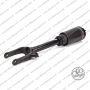 Sospensione Ant. Mercedes Classe GL - M