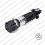 Ammortizzatore Posteriore Sx Bmw Serie 7