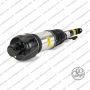 Sospensione Ant Sx Mercedes Classe CLS E