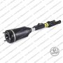 Sospensione Anteriore Mercedes M (W164)