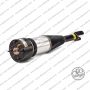 Sospensione Dx Sx Jaguar XJ (X350, X358)