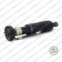 Sospensione Ant. Dx Arnott Mercedes SL