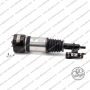 Sospensione Ant Sx Mercedes Cl. S (W220)