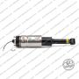 Sospensione Ant Range Rover Sport (L320)