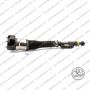 Sospensione Dx Mercedes Classe S (W221)