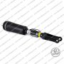 Sospensione Mercedes Classe R W251, V251