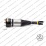 Sospensione Dx Sx Jaguar XJ (X350, X358)