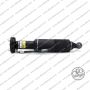 Sospensione Ant. Dx Arnott Mercedes SL