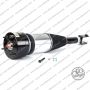 Sospensione Ant. Jaguar XJ (X350, X358)