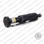 Sospensione Anteriore Dx Mercedes SL Amg