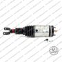 Sospensione Anteriore Dodge Ram 1500