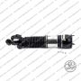 Sospensione Post. Dx Arnott Bmw Serie 7