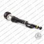 Sospensione Dx Mercedes Classe S (W221)