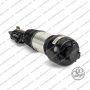 Sospensione Ant Sx Mercedes Classe CLS E