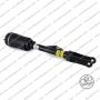 Sospensione Anteriore Mercedes M (W164)
