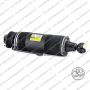Sospensione Post. Sx Mercedes SL AMG