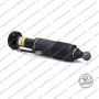 Sospensione Ant. Dx Arnott Mercedes SL
