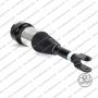 Sospensione Ant. Jaguar XJ (X350, X358)
