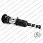 Sospensione Posteriore Arnott Audi A8