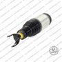 Sospensione Anteriore Dodge Ram 1500