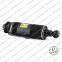 Sospensione Post. Dx Arnott MB Classe SL
