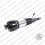 Sospensione Ant Sx Mercedes Classe E CLS
