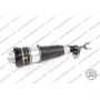 Sospensione Ant Sx Audi A6 Avant Allroad