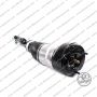 Sospensione Sx Arnott Mercedes Classe S