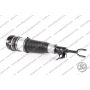 Sospensione Ant Sx Audi A6 Avant Allroad